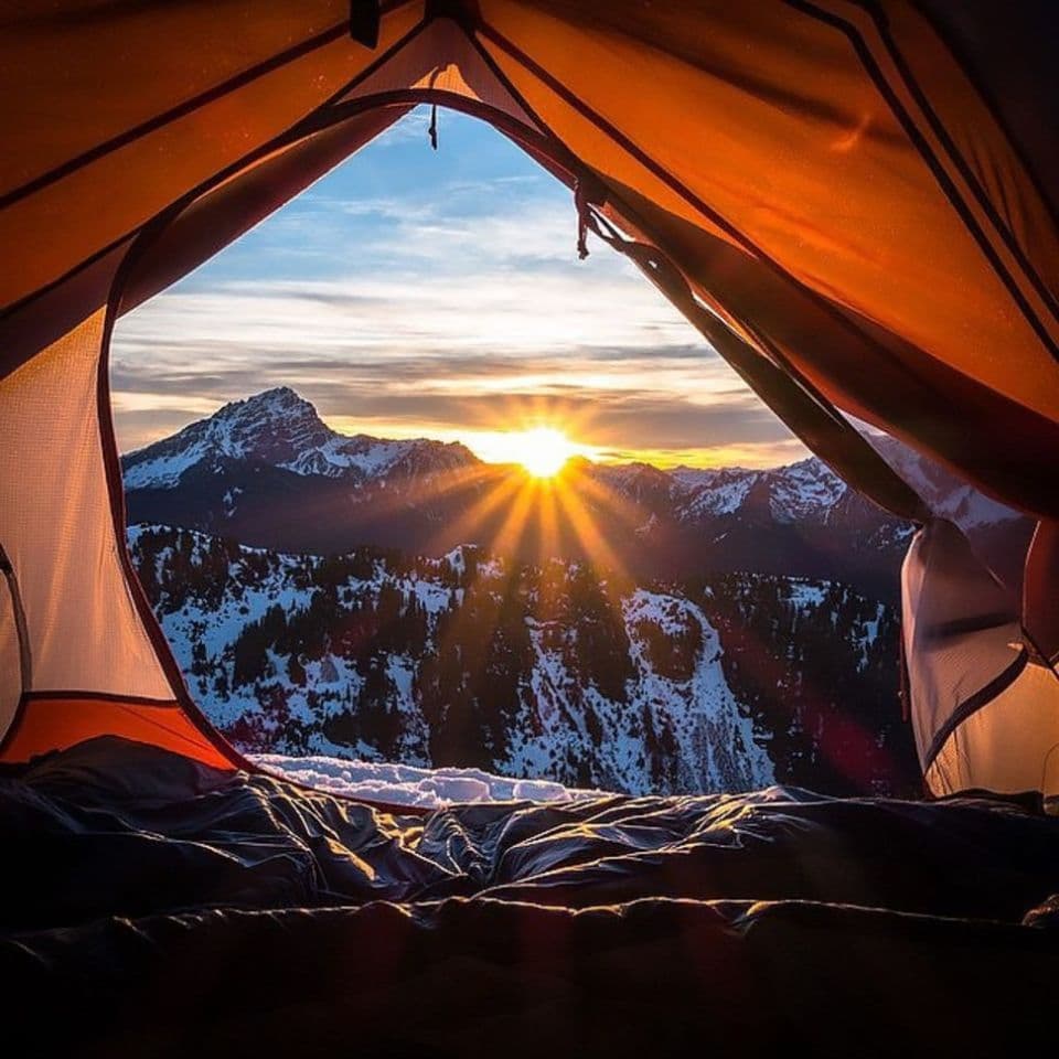 Camping Under the Stars!
